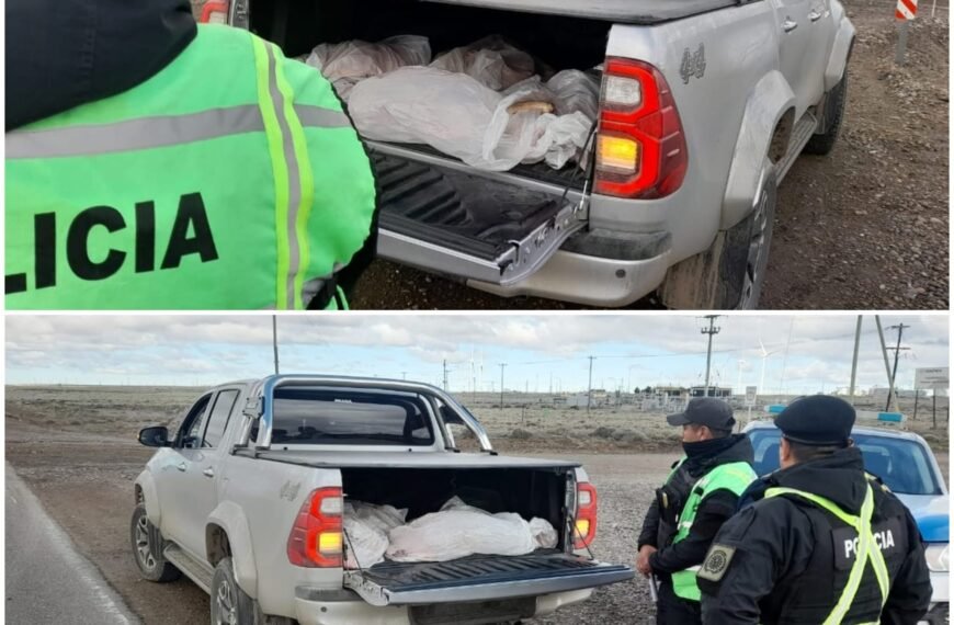 Lo sorprenden con carne faenada en la camioneta