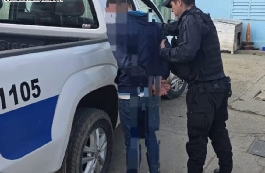 Persecución por el robo de una batearía de vehículo: Un detenido