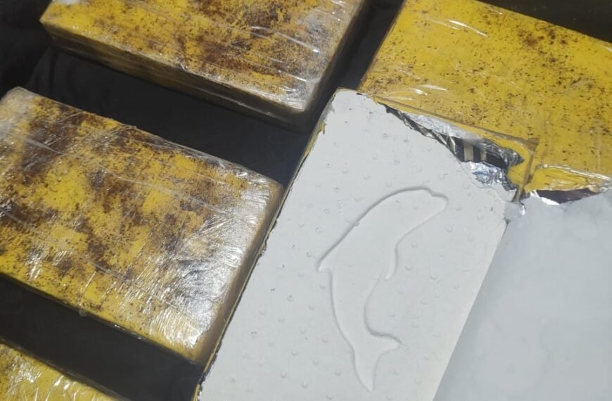 Operativo «Viento Blanco»: Desarticulada Red narco con incautación de 20 kilos de cocaína