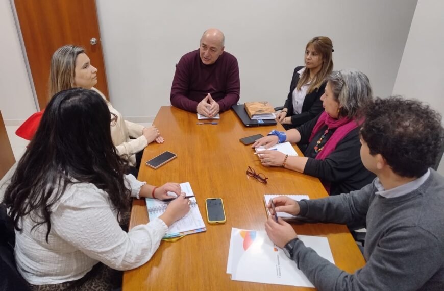 Tullio abordó con especialistas en discapacidad diferentes estrategias para lograr la mayor accesibilidad a la hora de votar