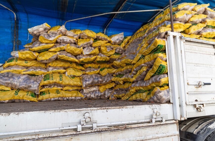 Secuestraron 100 bolsas de papas no declaradas por un depósito de verduras