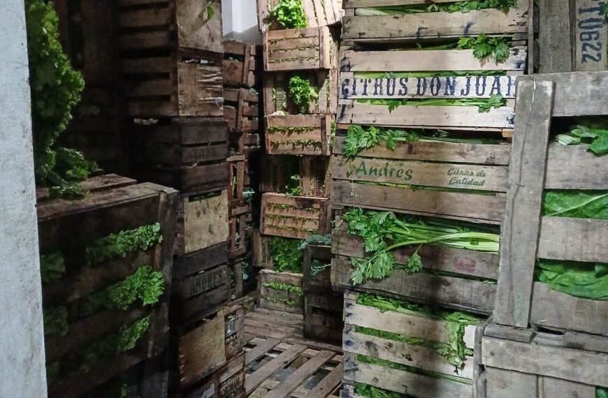 Continúan los controles de mercadería en distintos comercios de Comodoro