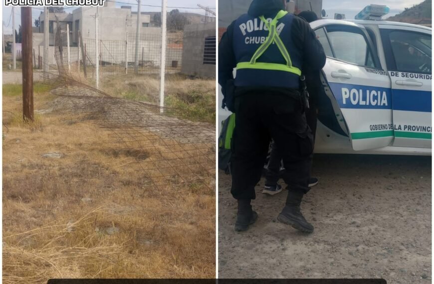 Llegó a su terreno y sorprendió a un sujeto que estaba robando mallas de construcción