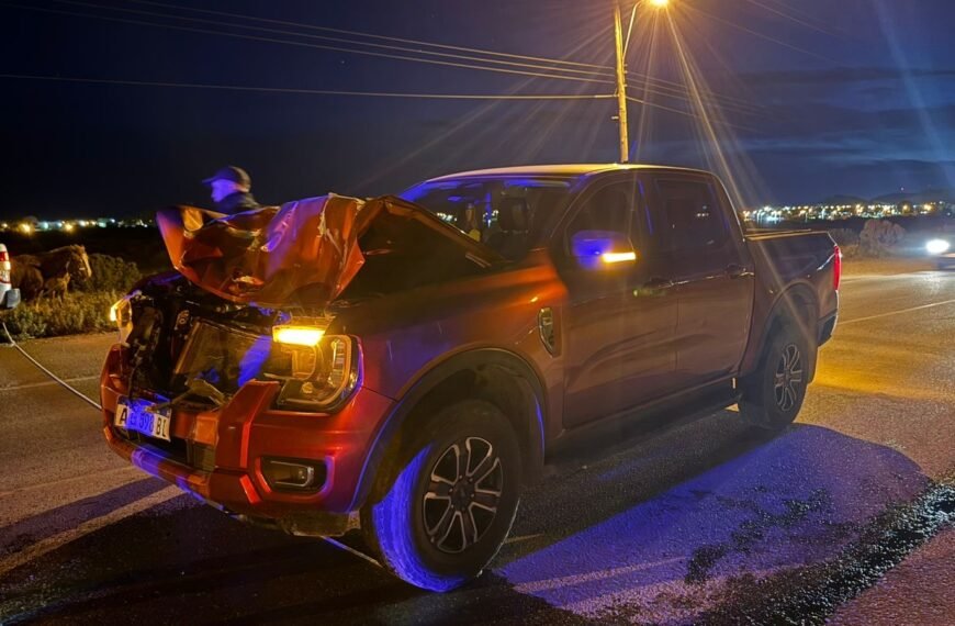 Caballos sueltos sobre la ruta provincial 1 provocaron un accidente