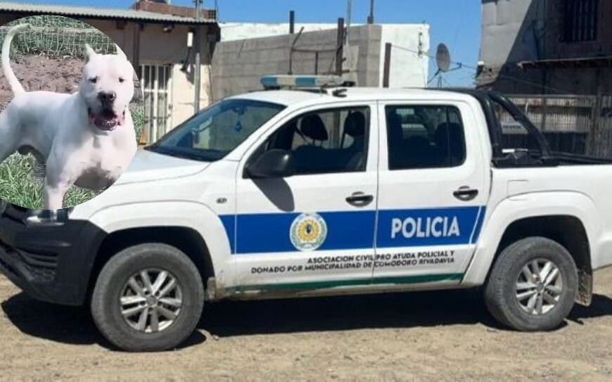 Intento de robo de cables terminó con una policía herida tras ser atacada por un perro