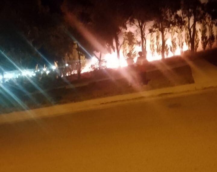 Menores que arrojaban pirotecnia habrían provocado un incendio de pastizales