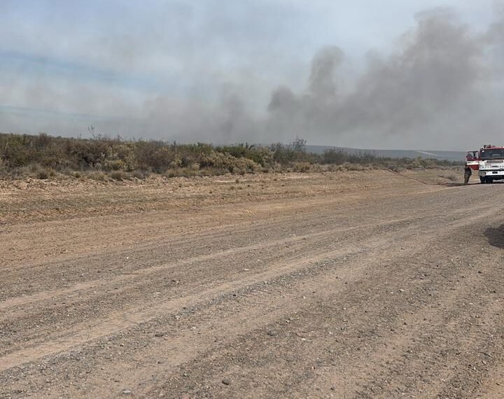 Amplio despliegue para combatir incendio de campos en cercanías a Trelew