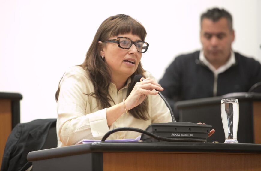 Maite Luque por el transporte público en Comodoro: «El 30 de noviembre vence la prórroga vigente y desconocemos realmente en qué estado está»