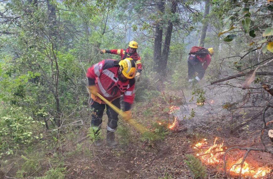 El incendio de El Pedregoso está contenido en un 100%