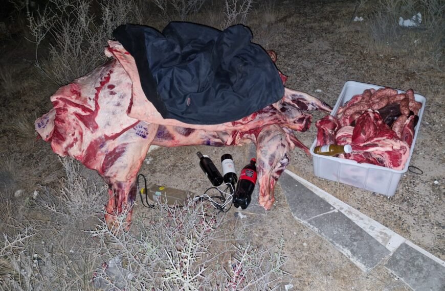 Sustrajeron carne y vino valuada en 3 millones de pesos