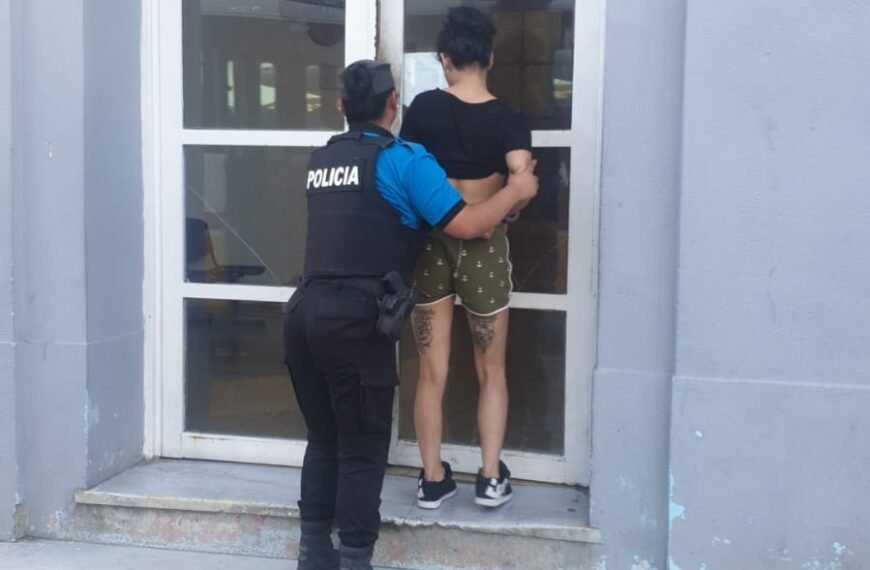 Demorada por insultar e incitar a pelear a la policía