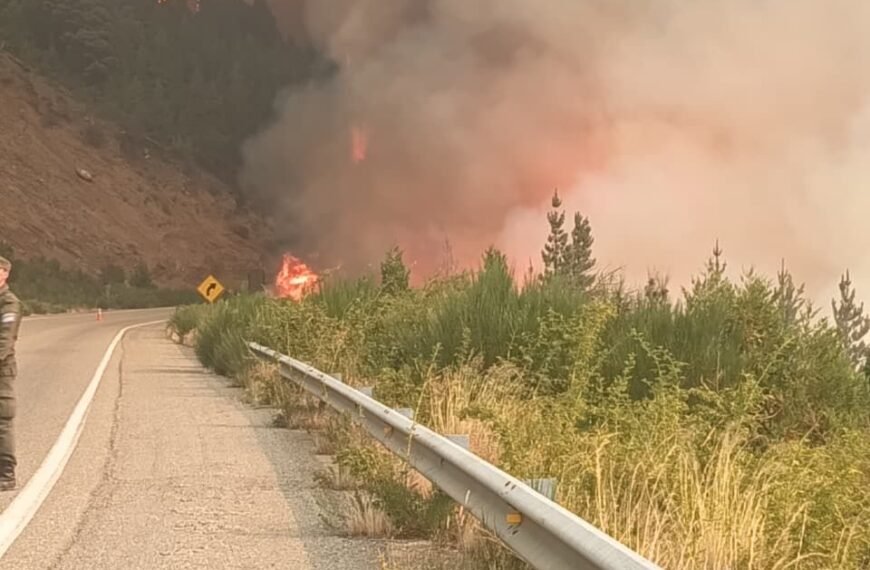 Incendios en la cordillera: Secuetraron celulares y hay dos testigos con identidad reservada