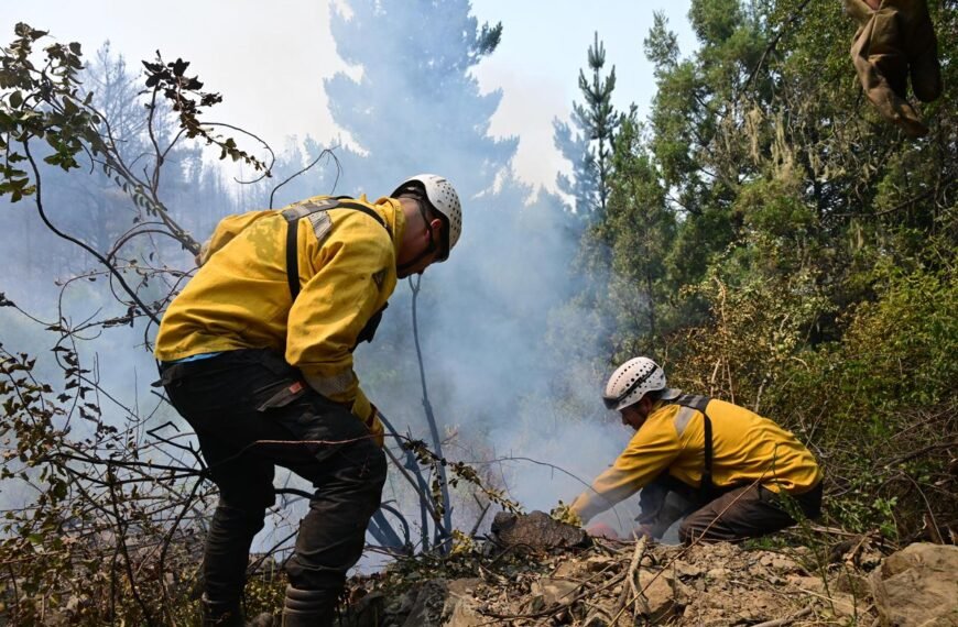 Cerca de 500 personas y 8 medios aéreos combaten el incendio forestal en Puerto Patriada