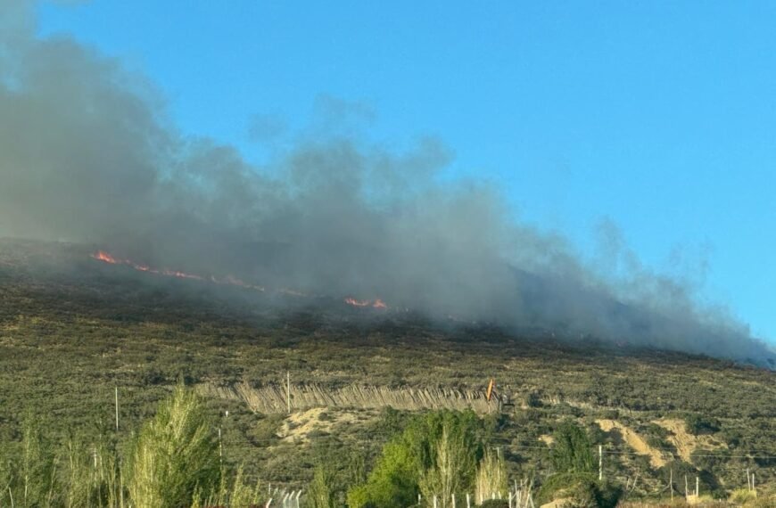 Bomberos trabajan para controlar incendio de pastizales