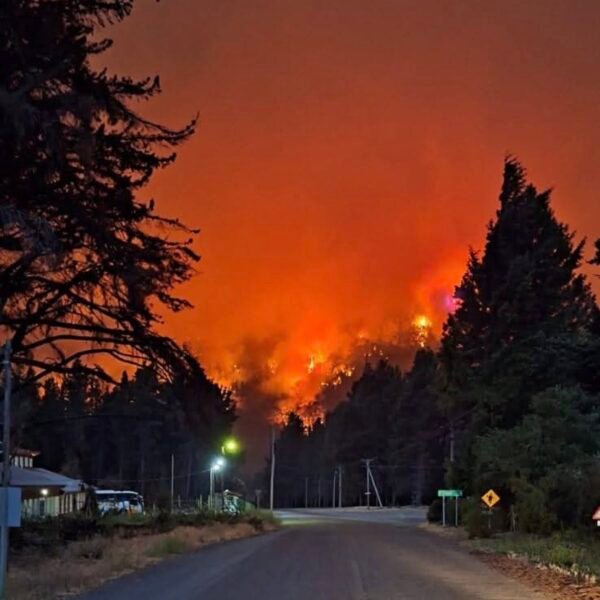 Tras el reclamo de gobernadores patagónicos, Nación acordó declarar la Emergencia Ígnea