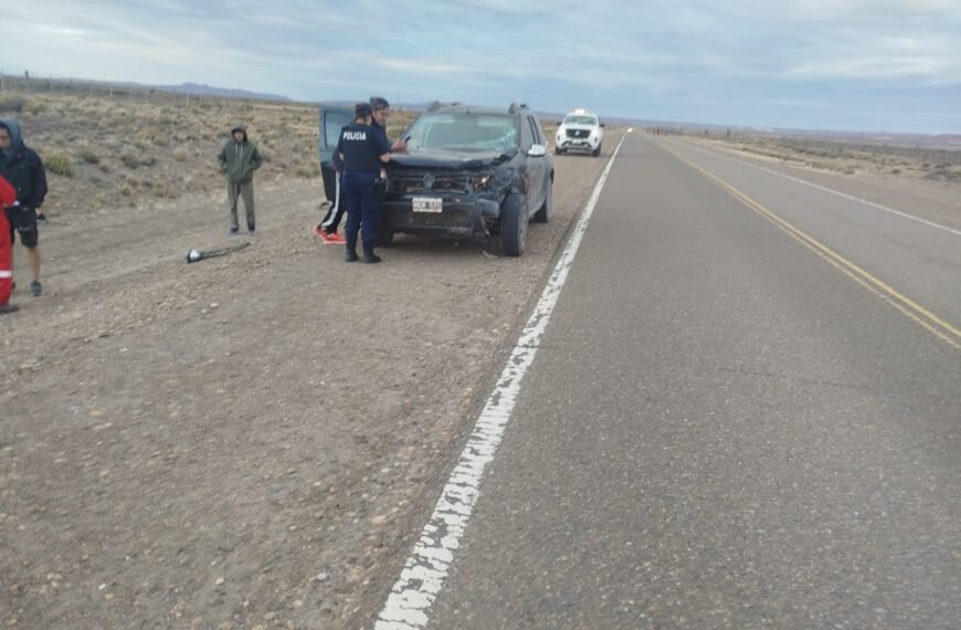 Comodorenses se dirigían hacia Alto Rio Senguer y chocaron con un guanaco