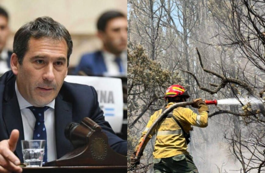 Luque presentó un proyecto de ley para crear un régimen jubilatorio especial para brigadistas que combaten incendios forestales