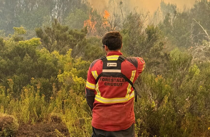 Con cerca de 500 personas y un amplio despliegue de medios áereos Provincia continúa con el combate de incendios en la cordillera