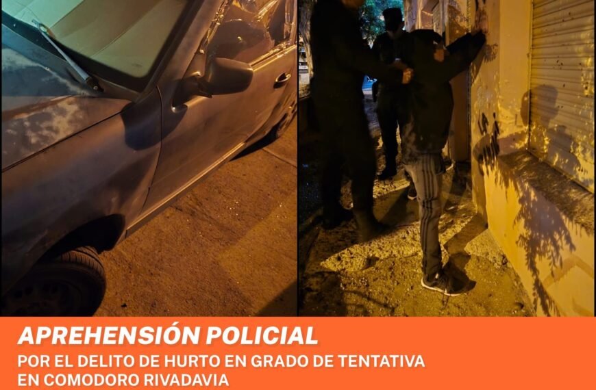 Detenido por robar bolsos de un automóvil