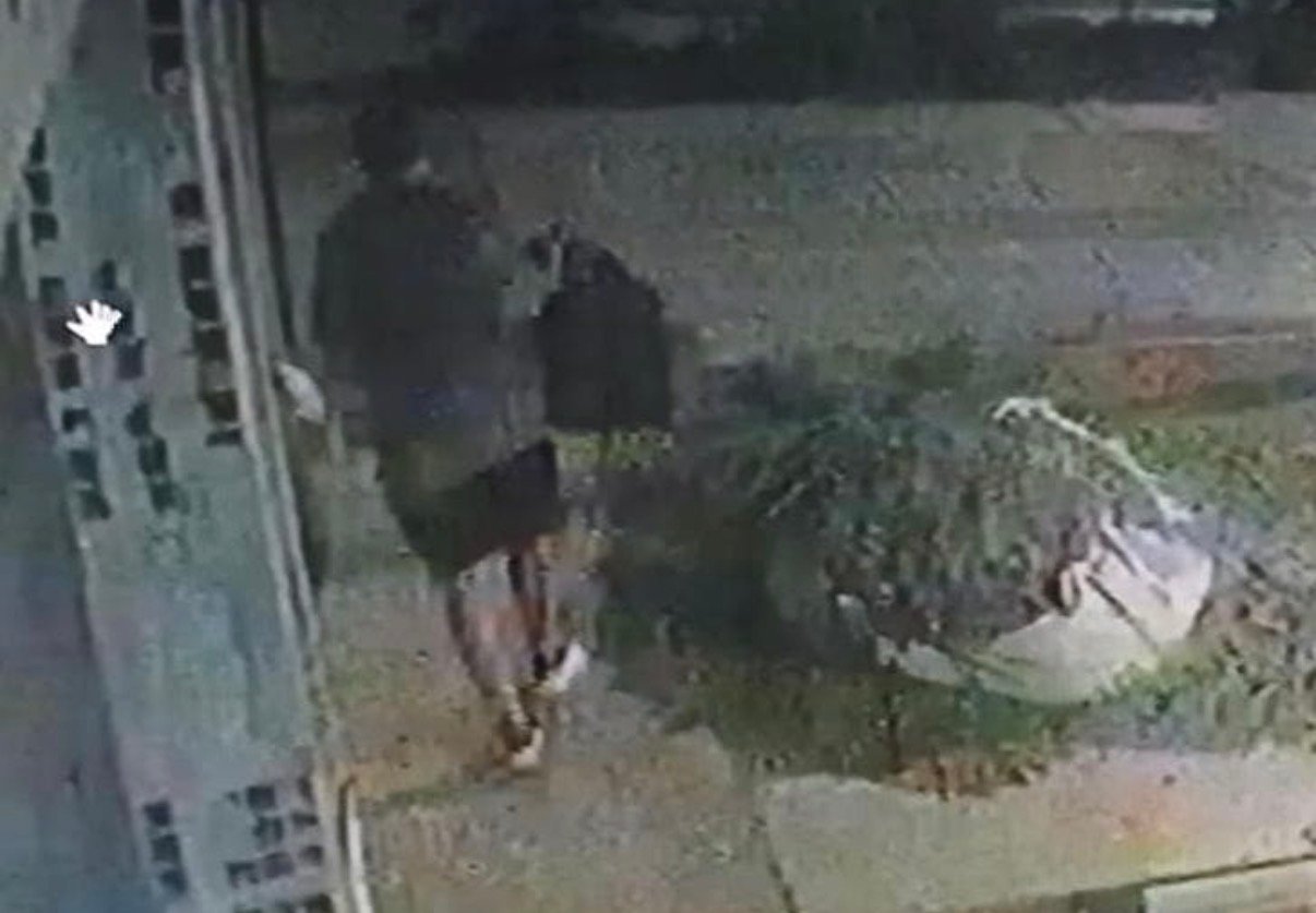 Preocupación en Próspero Palazzo: Delincuente forzó una puerta y desvalijó una casa en menos de una hora