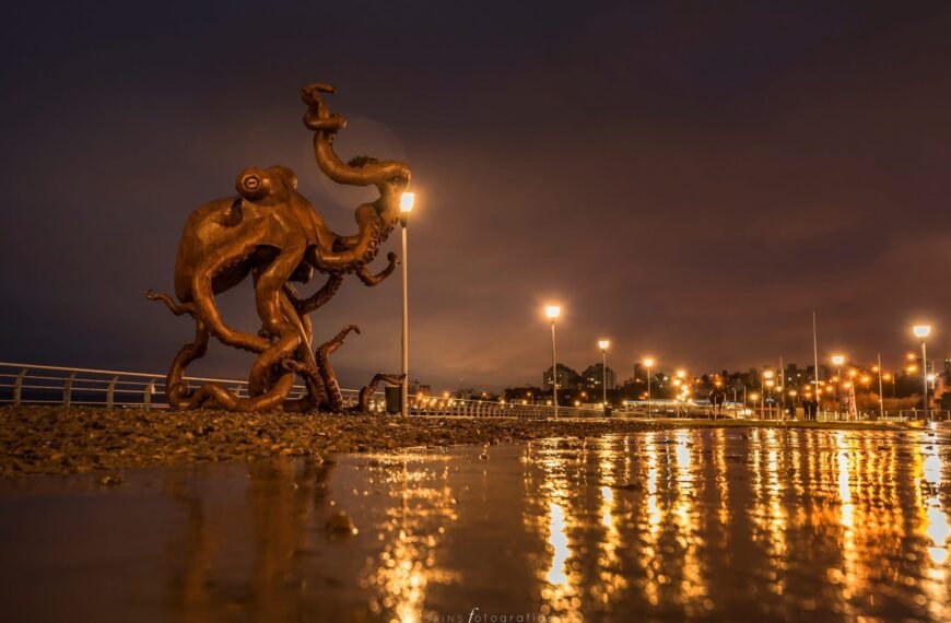 Alerta amarilla por lluvias y posibles tormentas para…
