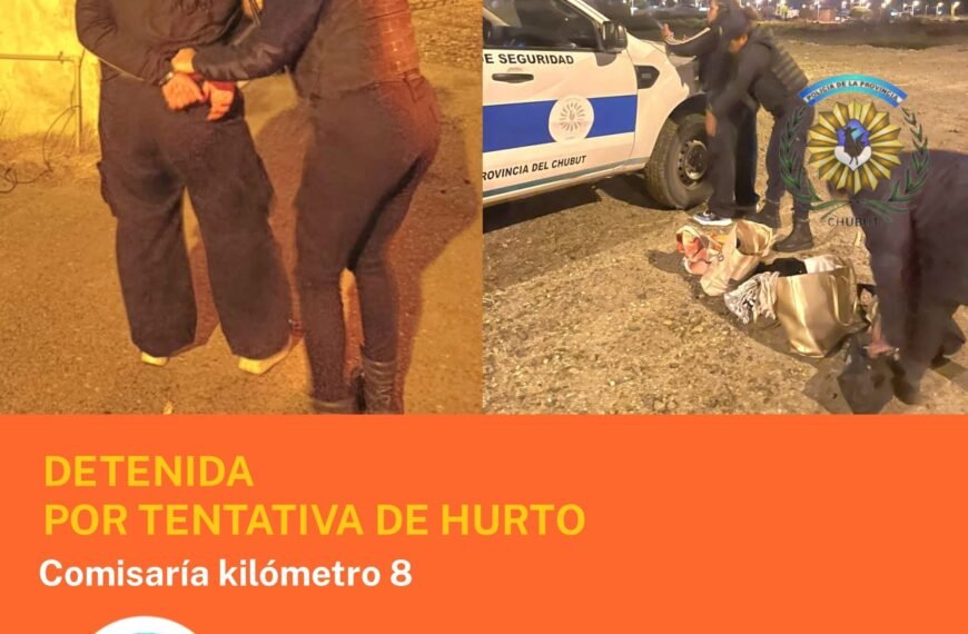 Detienen a una joven por robar en un vehículo y buscan a un cómplice prófugo