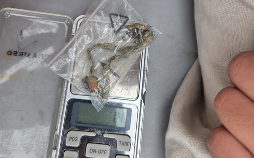 Secuestraron hongos alucinógenos durante un control en la playa