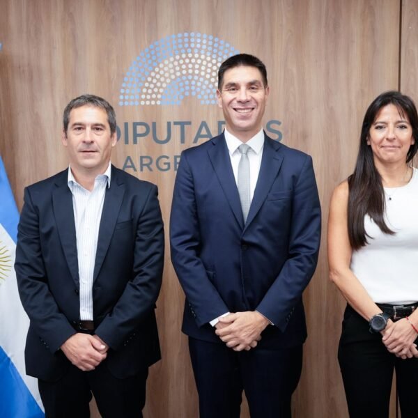 Luque fue designado vicepresidente de la Comisión de Energía y destacó el rol estratégico del sector