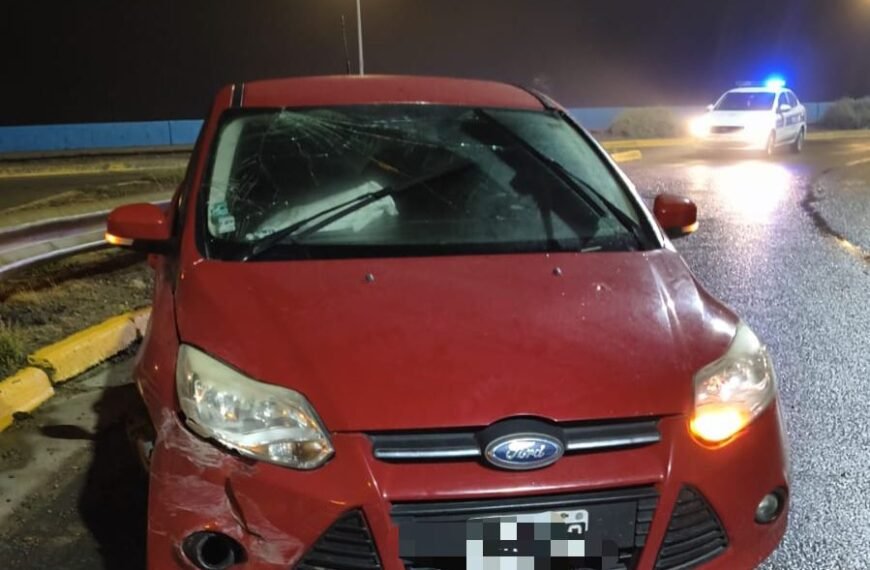 Despistó en Avenida Ducos y abandonó su vehículo