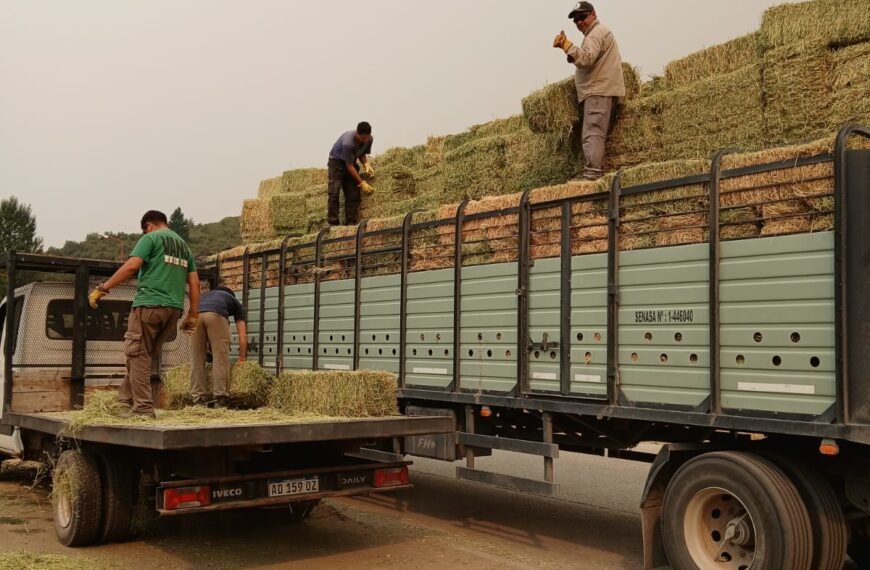 Fortalecen el sector ganadero de la Cordillera con la entrega de fardos de alfalfa