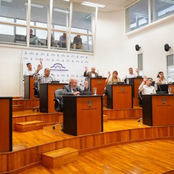 En extraordinaria, el Concejo ratificó los contratos para el diagnóstico del Hermitte