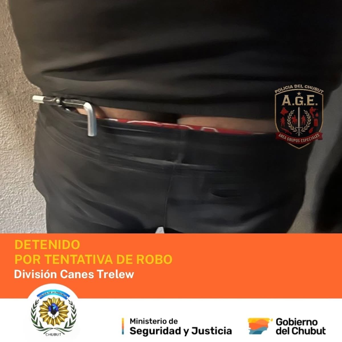 Intentó robar una moto frente a una clínica y fue detenido por la División Canes