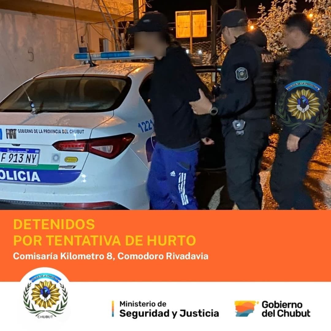 Dos detenidos tras robo de bicicleta y persecución del dueño