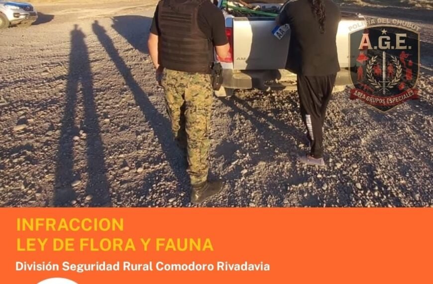 Decomisan carne de guanaco y un piche en&hellip;