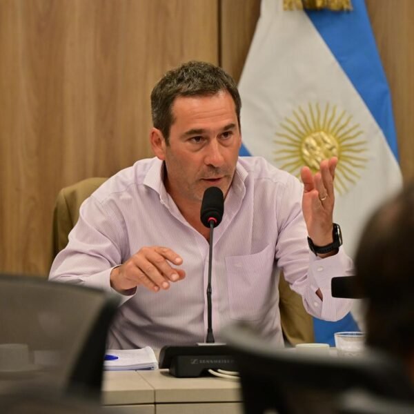 Luque sobre la ley de Glaciares: “Se está poniendo en juego recursos que son irrecuperables”