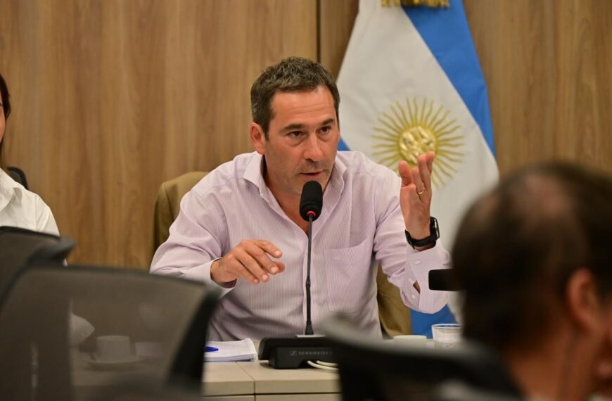 Luque sobre la ley de Glaciares: “Se está poniendo en juego recursos que son irrecuperables”