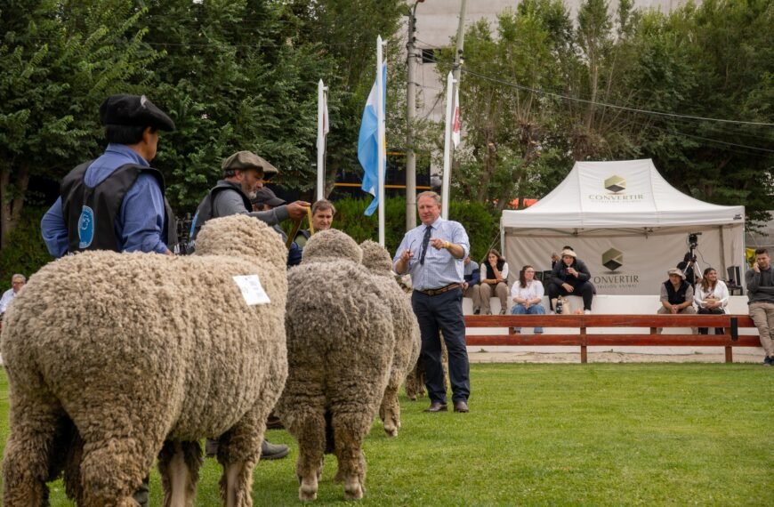 Con la jura de clasificación y la coronación del Gran Campeón continúa la 88° Expo Rural y 46° Feria del Carnero a Campo de la Rural