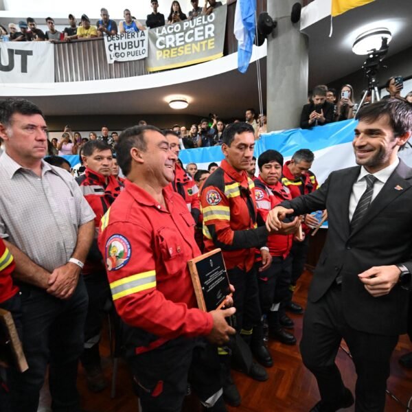 El Ejecutivo presentó un proyecto de ley para reconocer la trayectoria de los brigadistas provinciales