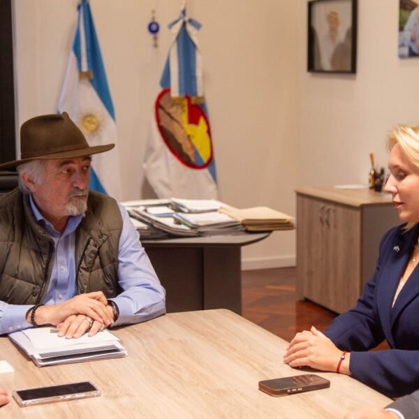 Othar y Suiskaia ratificaron la voluntad de cooperación en proyectos energéticos, industriales y científicos