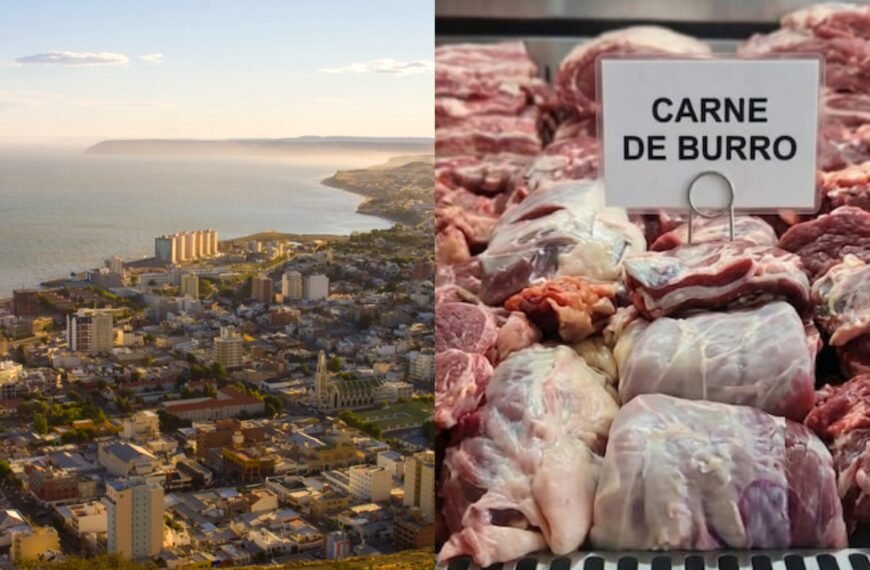 Descartan la venta de carne de burro en Comodoro y ratifican que está prohibida