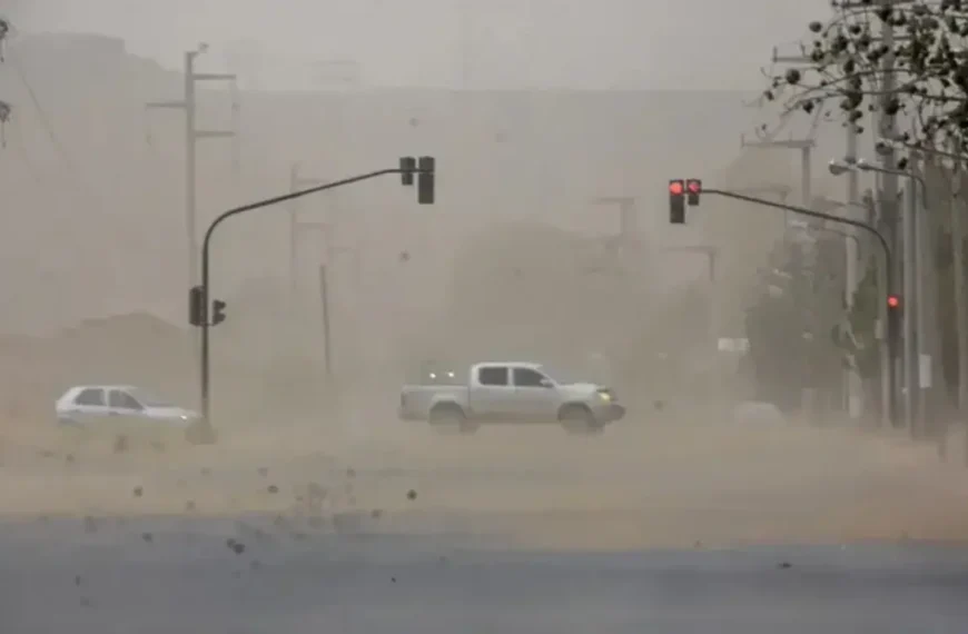 Alerta amarilla por fuertes vientos para la tarde y noche del domingo