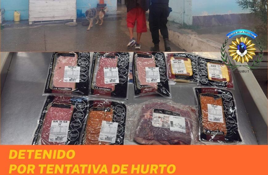 Intentó llevarse mercadería sin pagar y fue detenido