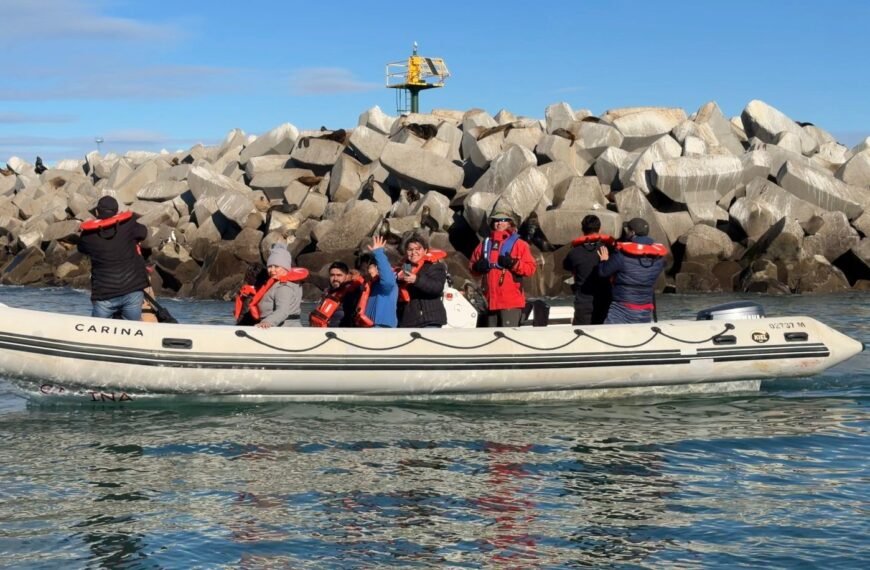 Chubut impulsa nuevas experiencias de turismo de naturaleza con fauna marina en Comodoro Rivadavia