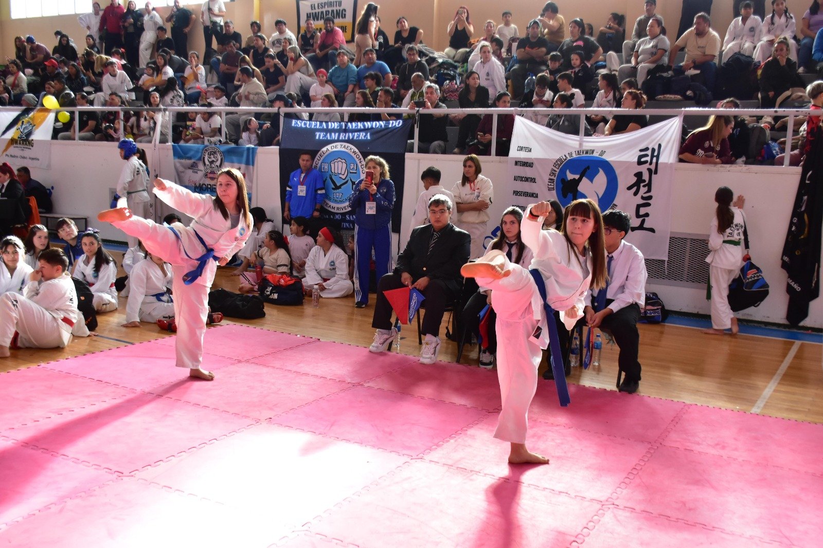 Tae Kwon Do: Exitosa XVII edición de la Copa Islas Malvinas