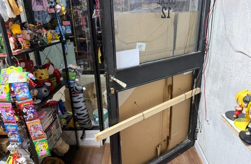 Comercios de la Galeria San Martin fueron victimas&hellip;