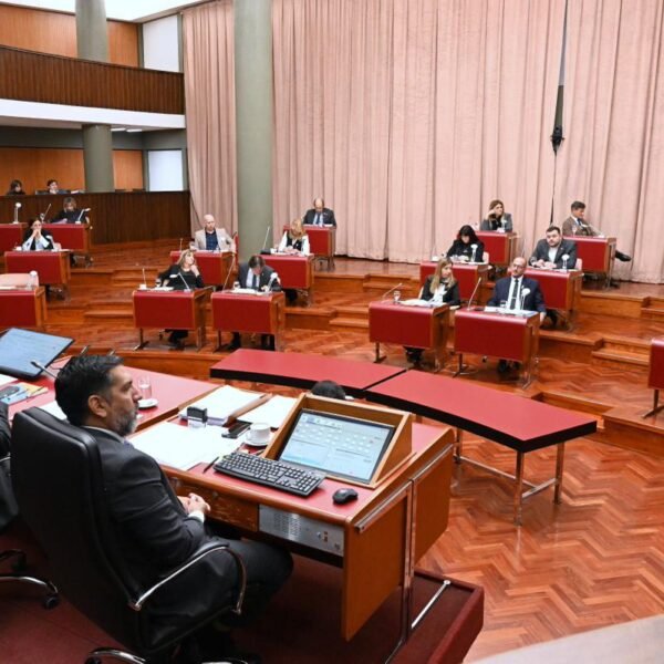 Legislatura aprobó la adhesión a la Ley Antimafias para fortalecer la lucha contra el crimen organizado en Chubut