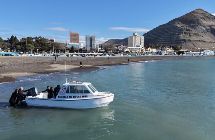 Se anunció en Comodoro el permiso ambiental para el desarrollo de snorkel, buceo y nado con lobos marinos