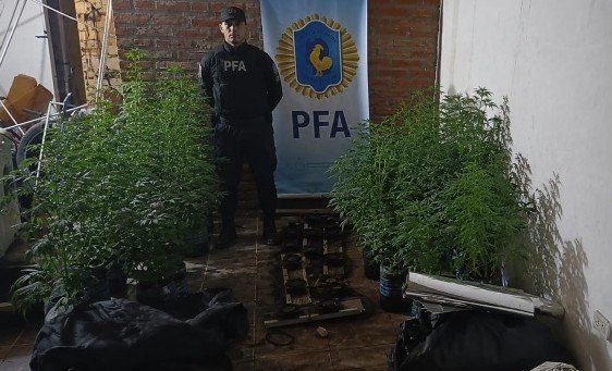 Desarticulan un centro de producción y venta de marihuana en Caleta Olivia