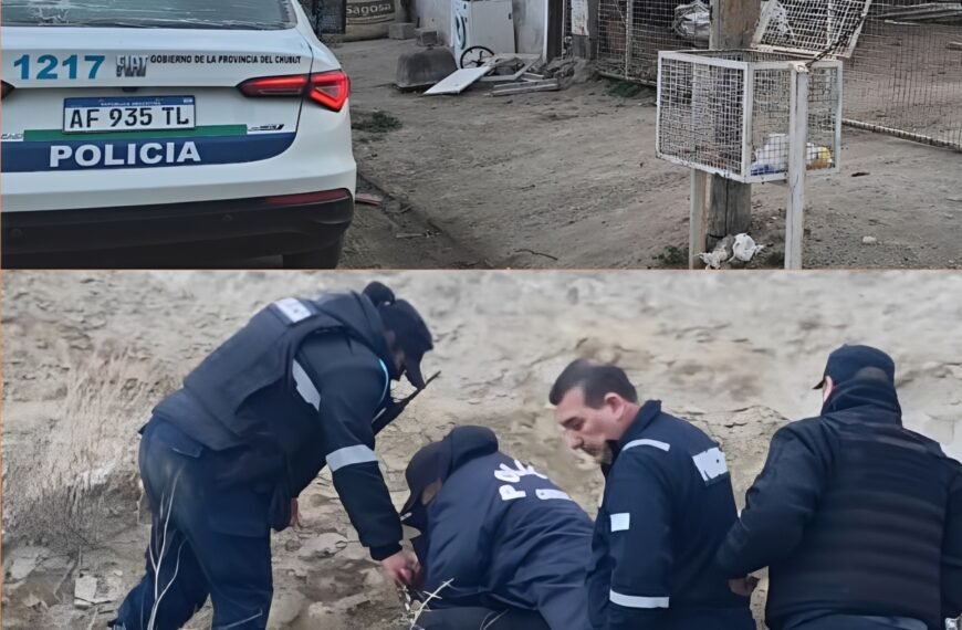 Detuvieron a un hombre que escapaba por los techos tras ingresar a una vivienda