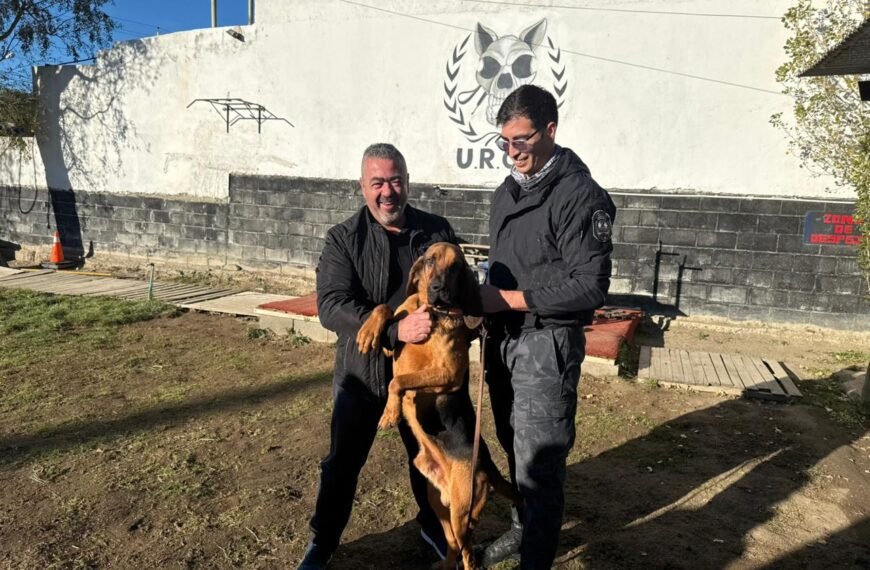 Perros rastreadores fueron clave para capturar a tres…